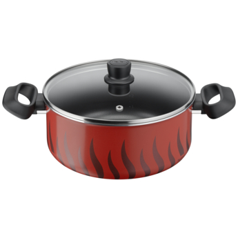 TEFAL Tempo Flame Casserole 24 cm Cooking Pot with Lid, Safe non stick coating, Made in France, Aluminium, C3044685
